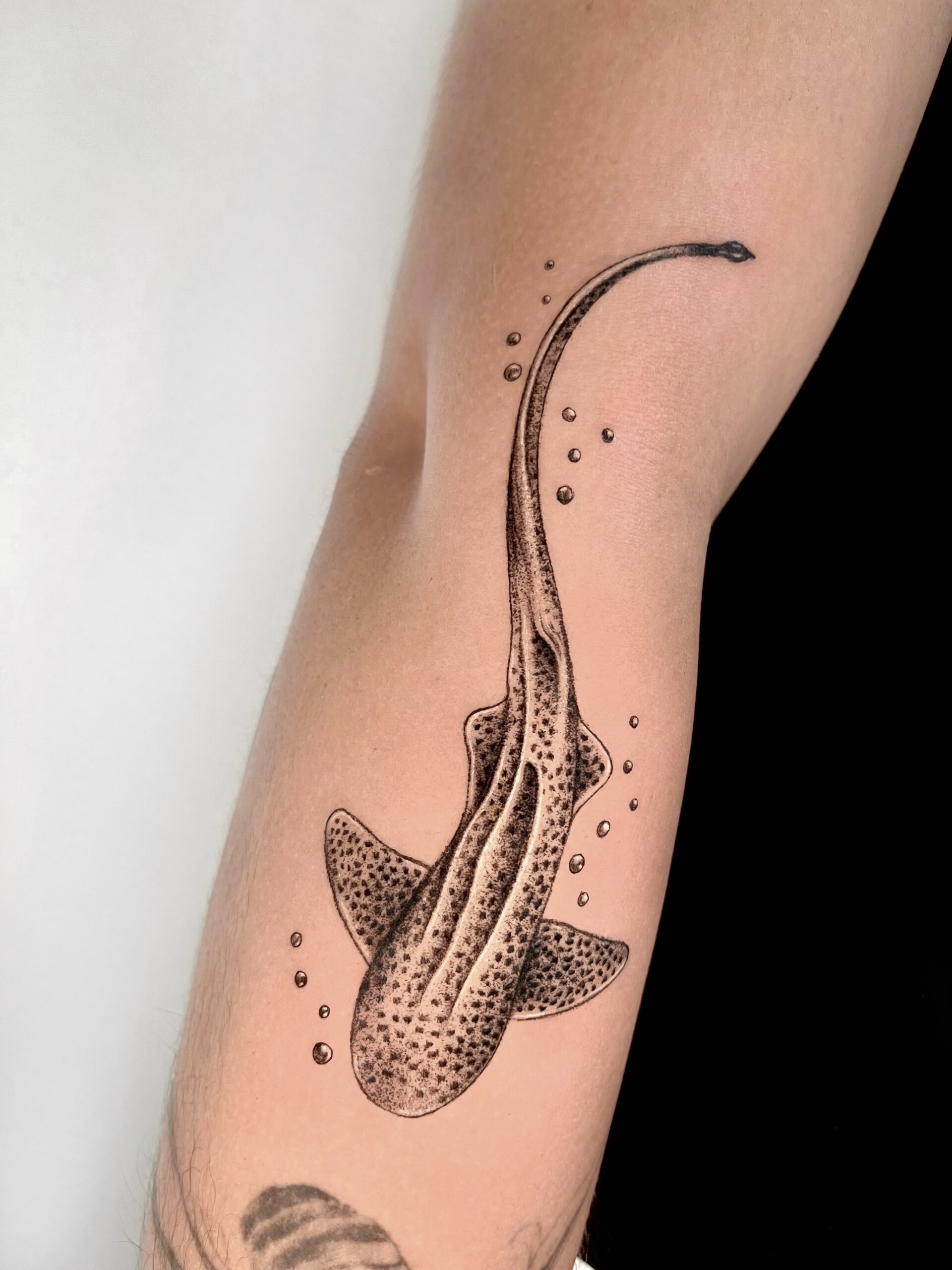 Tatuaje · Línea fina + sombras
