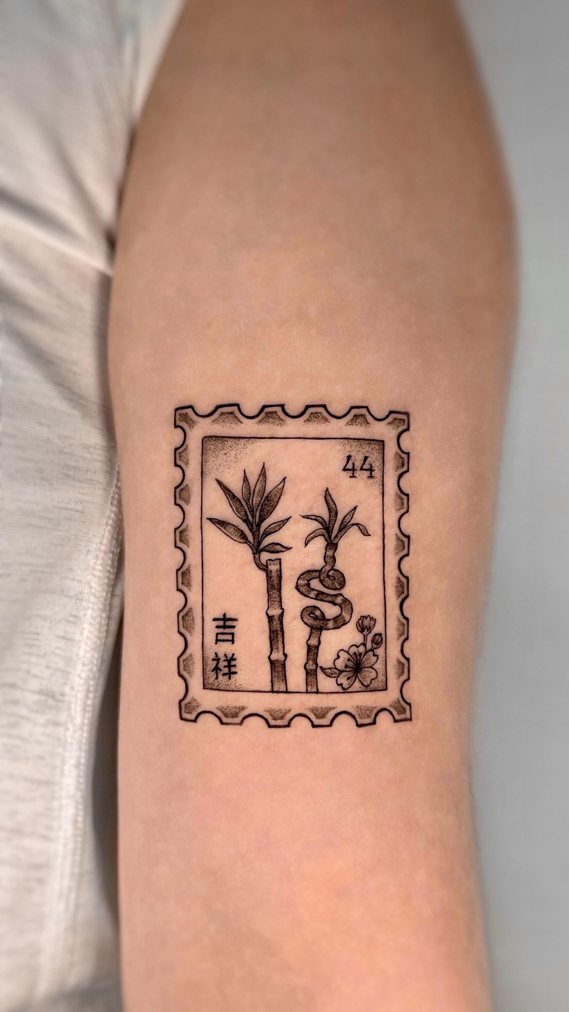 Tatuaje · Línea fina + sombras