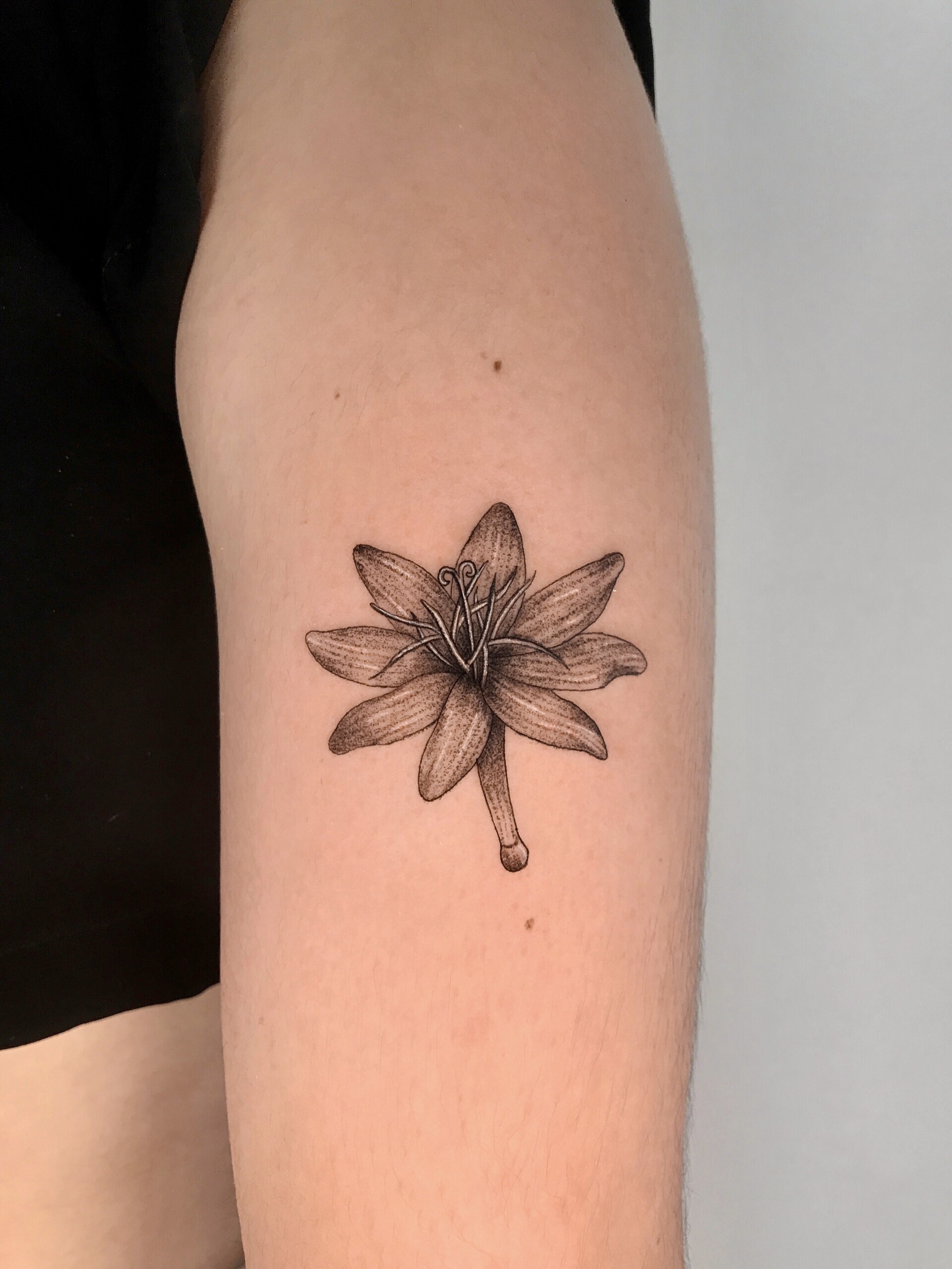 Tatuaje · Línea fina + sombras