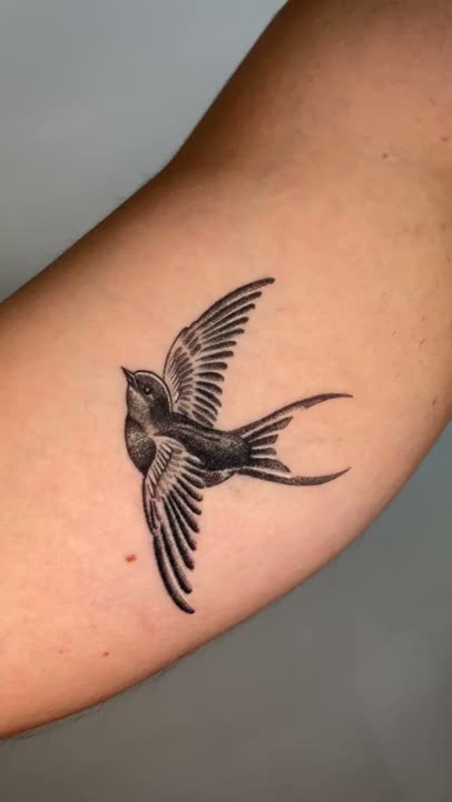 Tatuaje · Cicatrizados