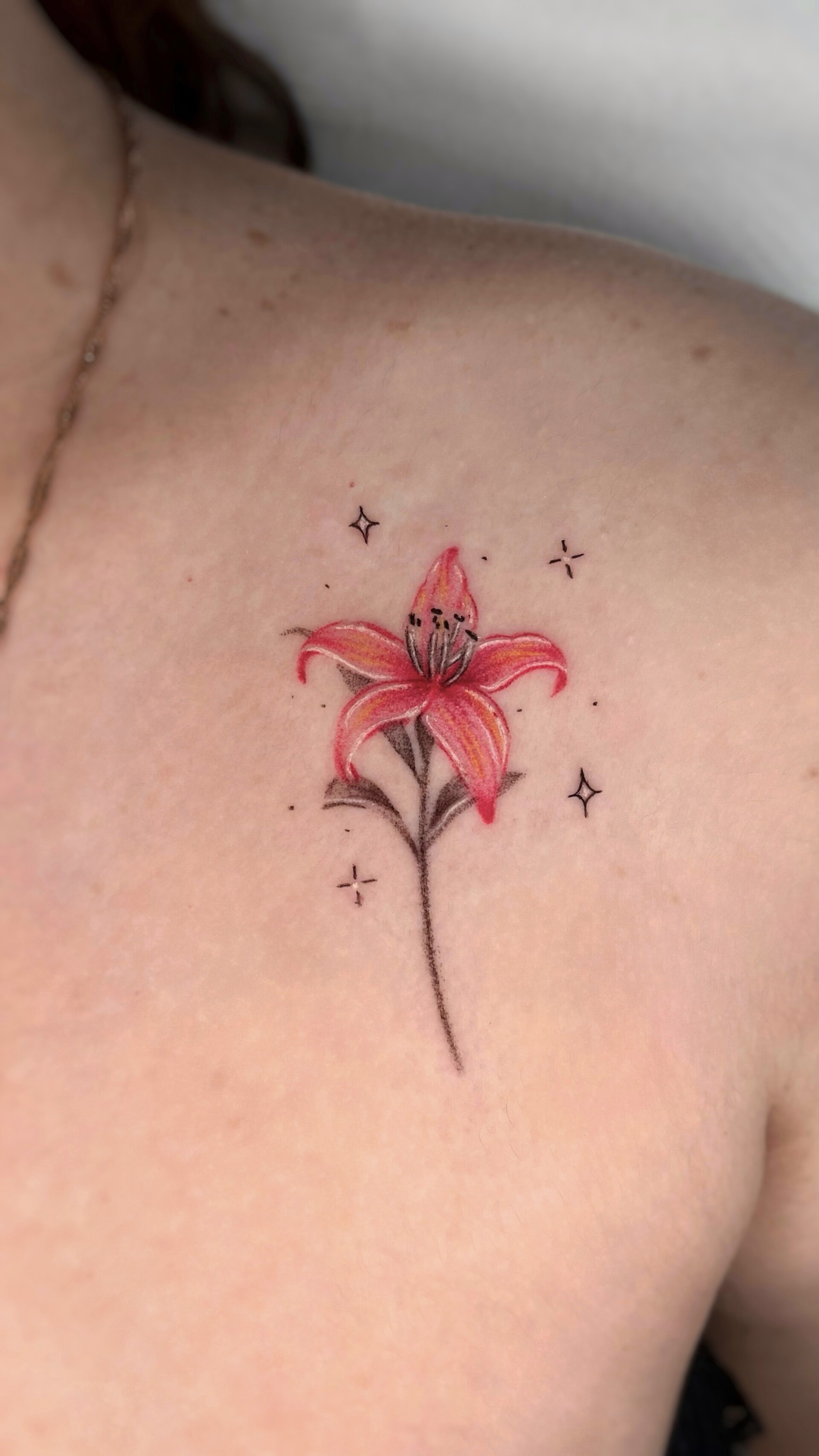 Tatuaje · Color