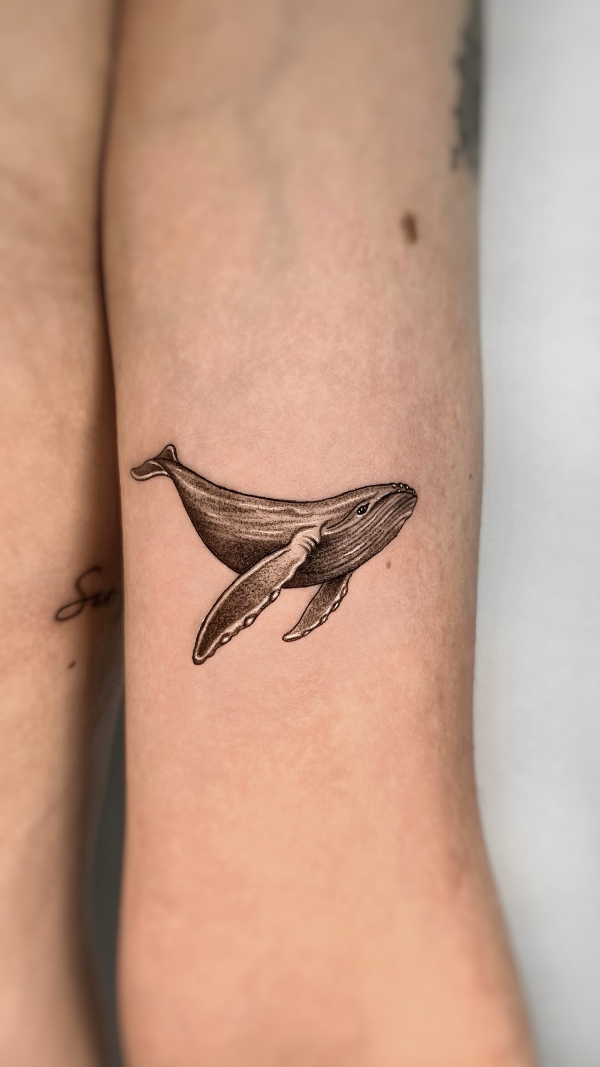 Tatuaje · Línea fina + sombras
