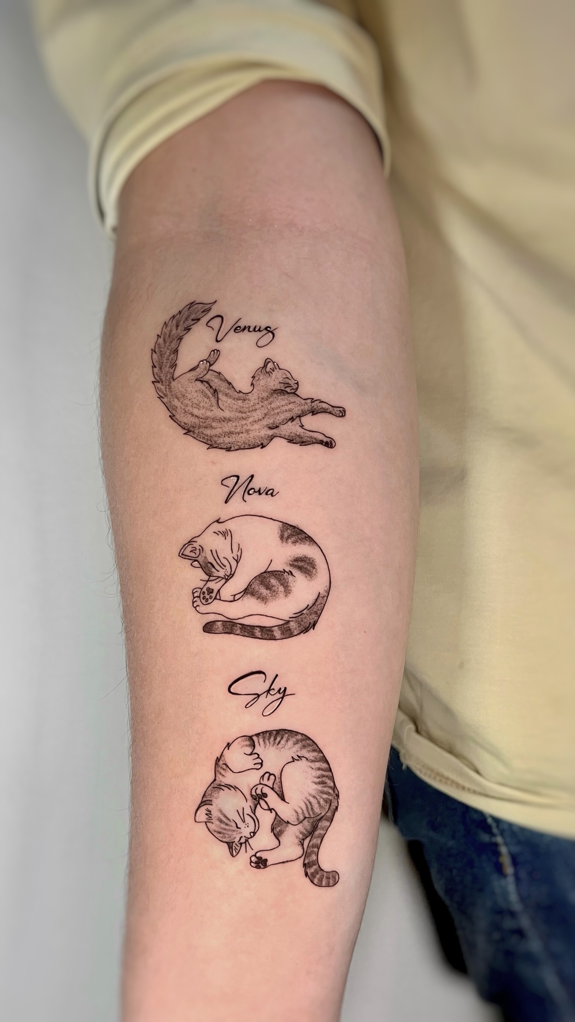 Tatuaje · Línea fina + sombras