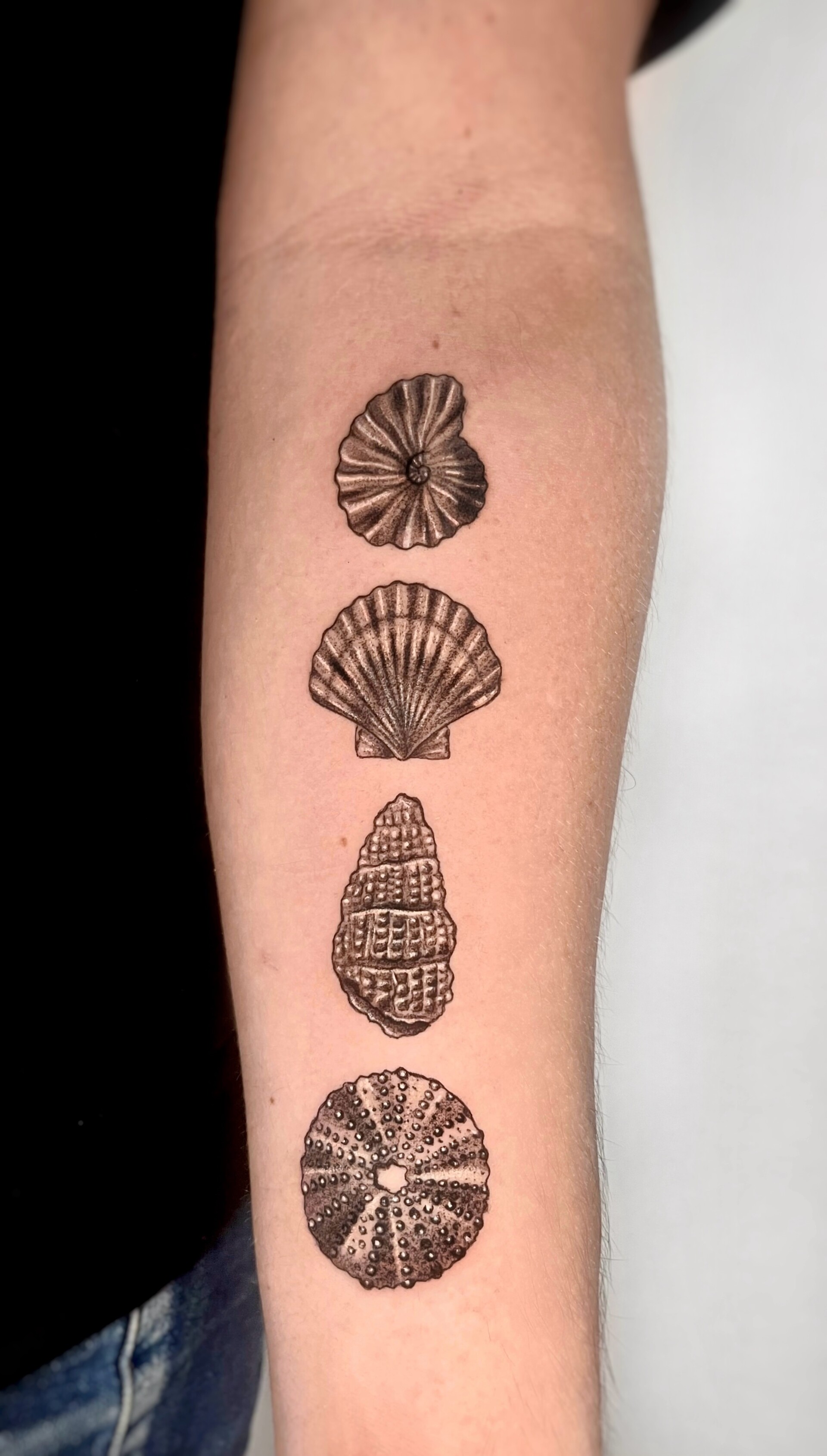 Tatuaje · Línea fina + sombras
