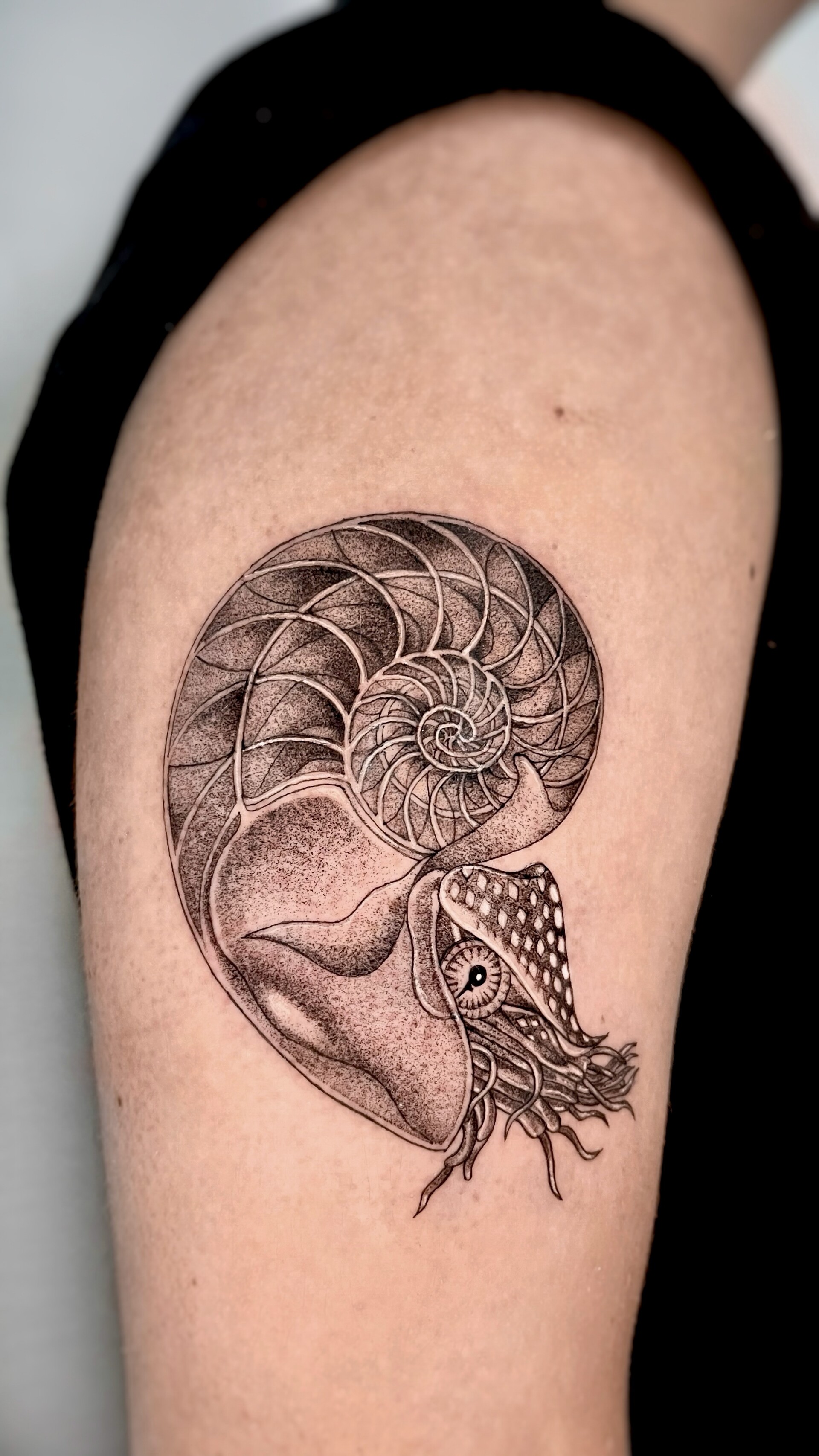 Tatuaje · Línea fina + sombras