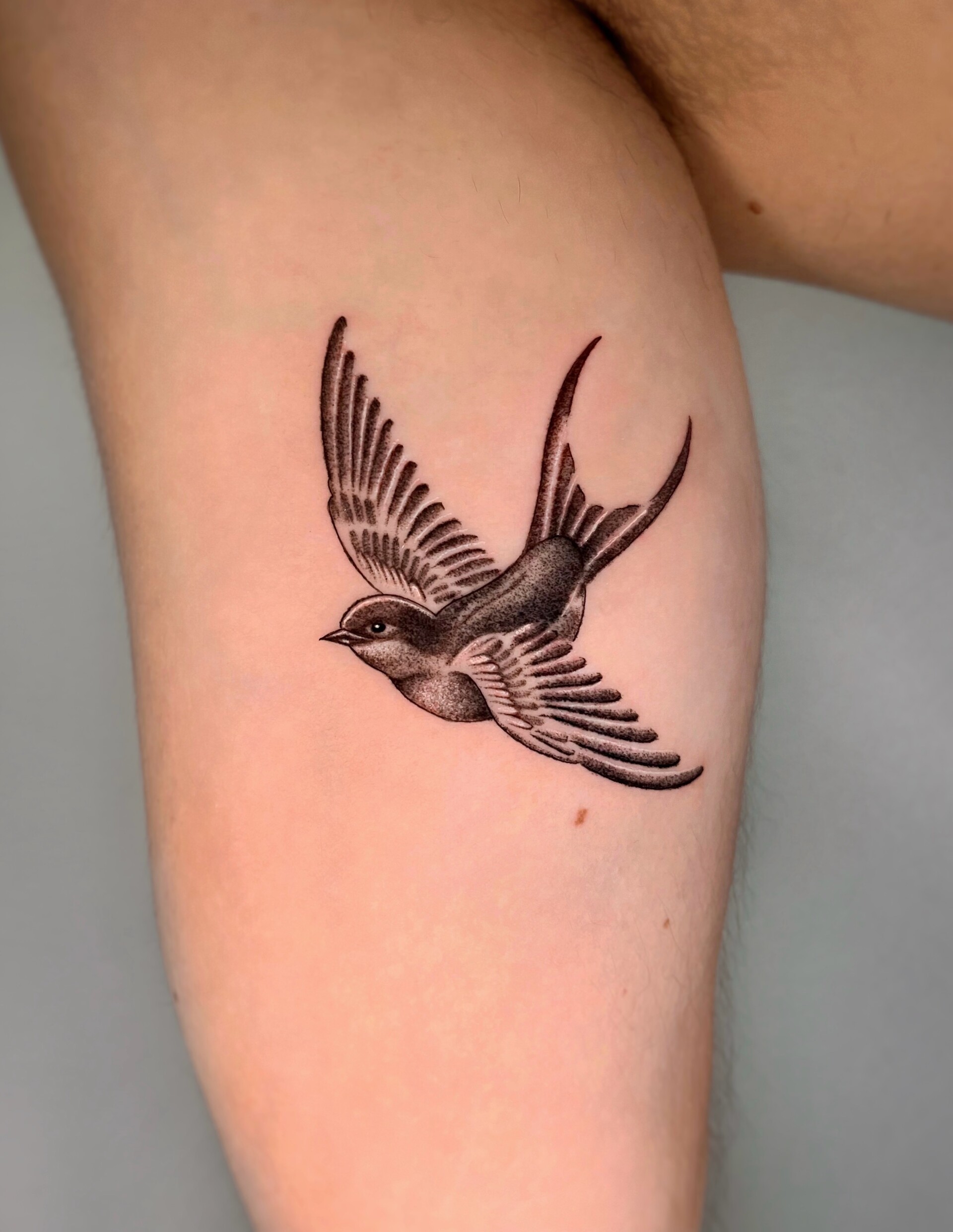 Tatuaje · Línea fina + sombras