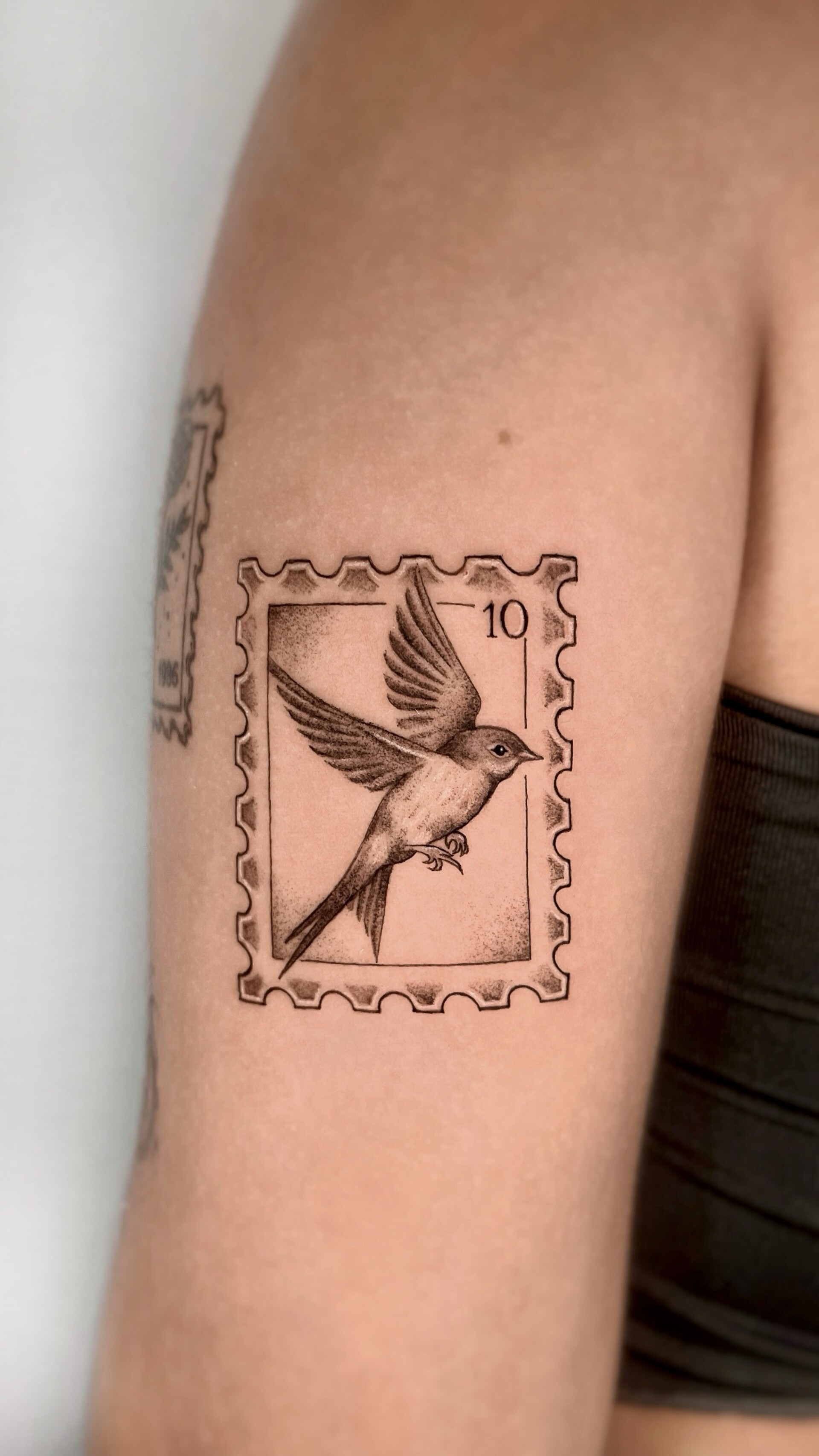 Tatuaje · Línea fina + sombras